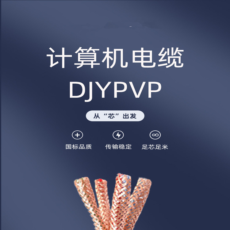 DJYP3VP3计算机电缆