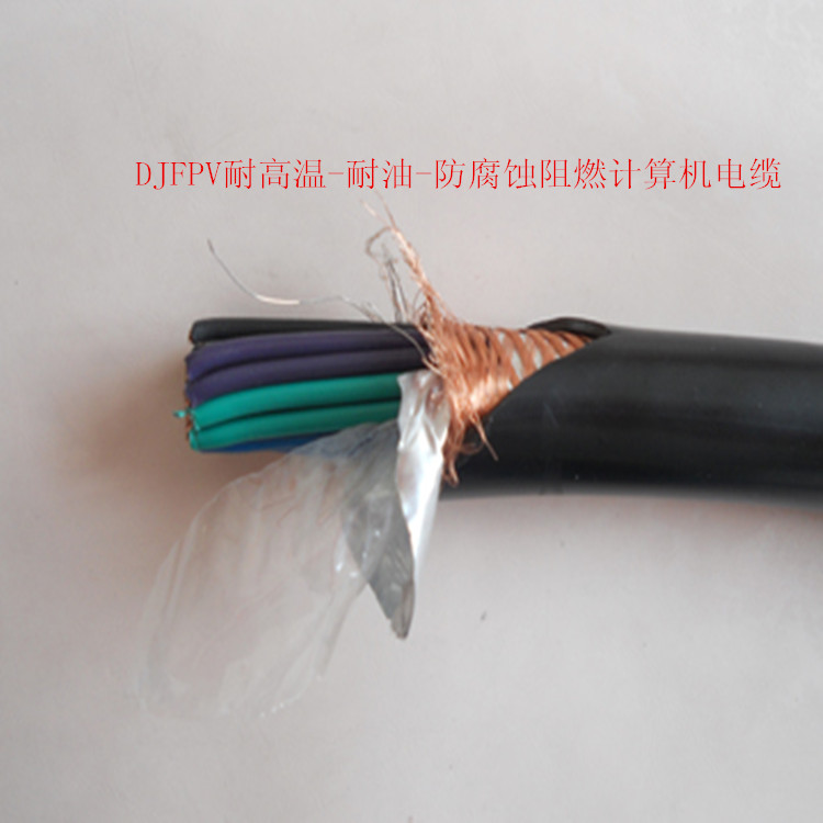DZR-DJYPVP2*2*1.5计算机电缆